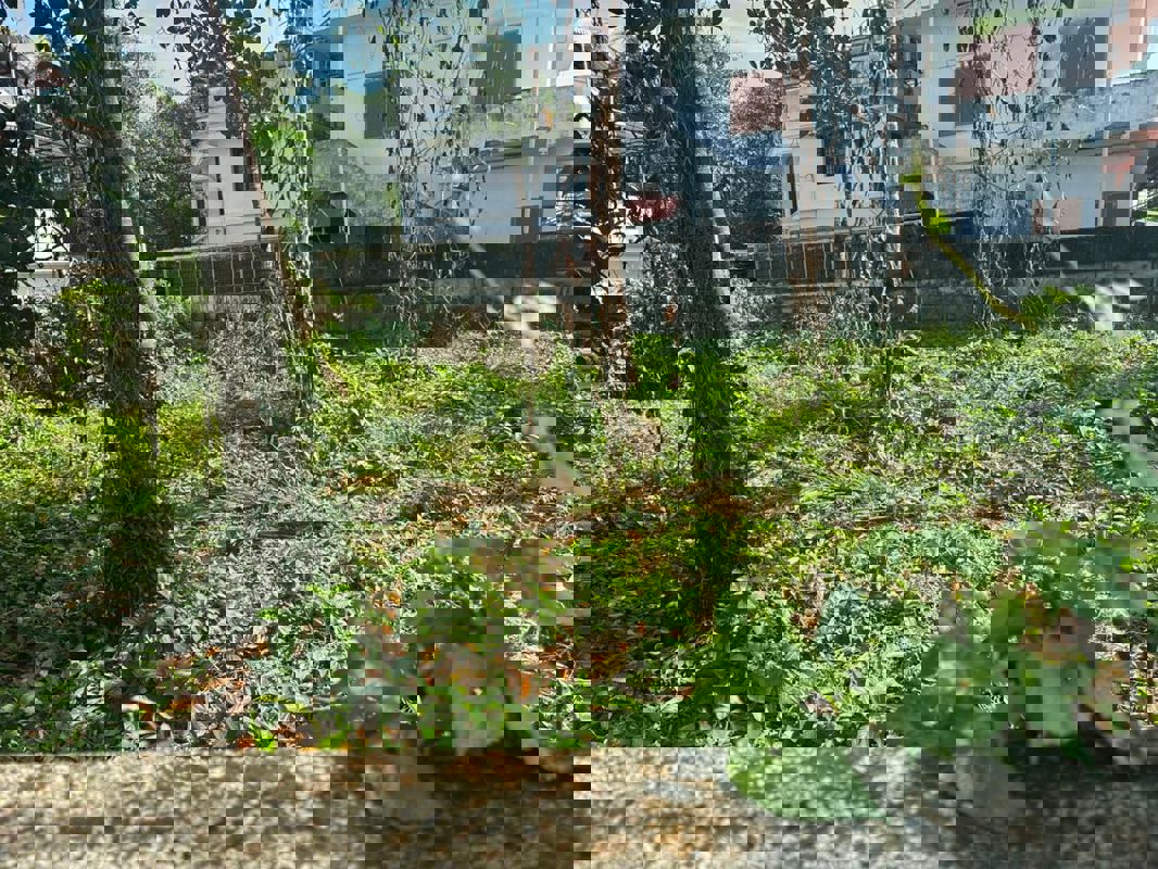 Plot For Sale in Kalathode