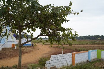 Plot Area in  Plot at Chelluru – for Sale