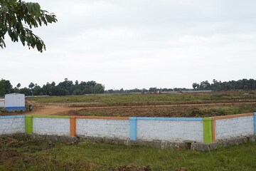  Plot For Sale in Chelluru