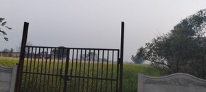  Plot For Sale in Sohna