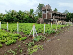  Plot For Sale in Navali