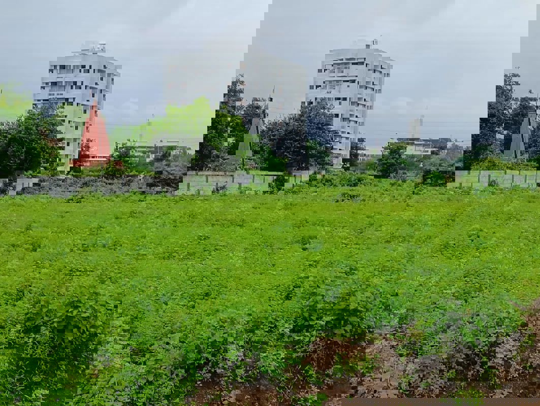 Plot For Sale in Palghar