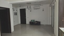 3 BHK Apartment For Rent in Tulip Violet