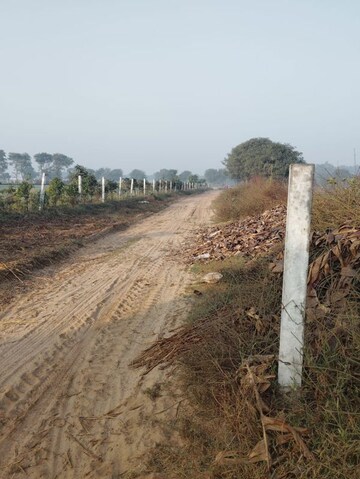 Plot Area in  Land at Pataudi – for Sale