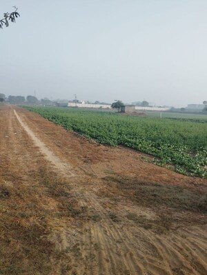 Plot Area in  Land at Pataudi – for Sale