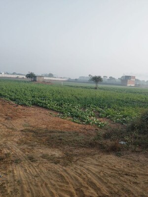 Plot Area in  Land at Pataudi – for Sale