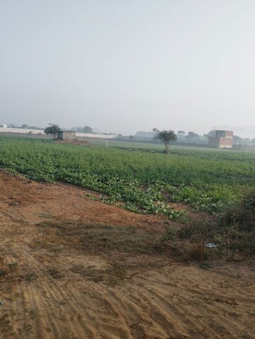 Plot Area in  Land at Pataudi – for Sale