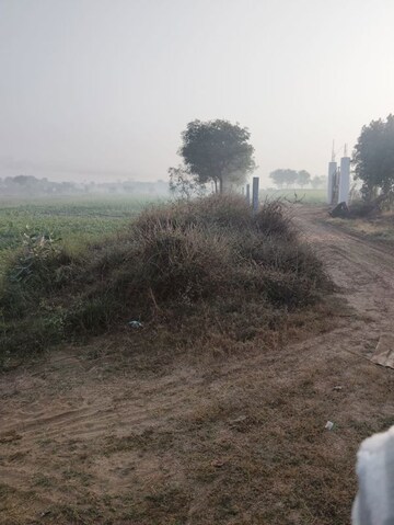 Plot Area in  Land at Pataudi – for Sale