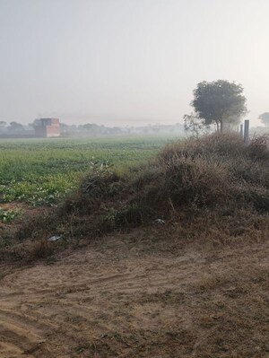 Plot Area in  Land at Pataudi – for Sale