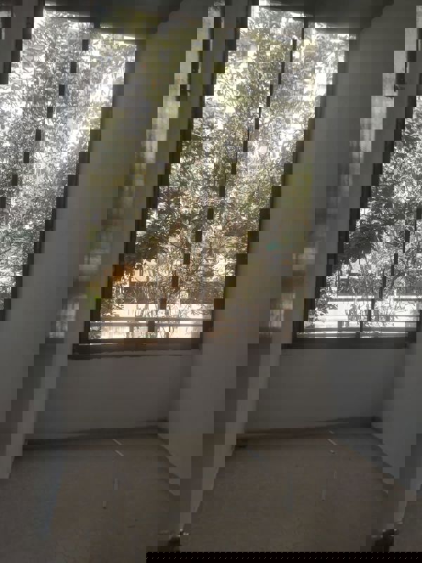 3 BHK Apartment For Rent in Kalpataru Exquisite Sierra