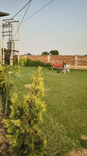 2 BHK Builder Floor – Garden View at Smart City Kharar, North Kharar - for Rent