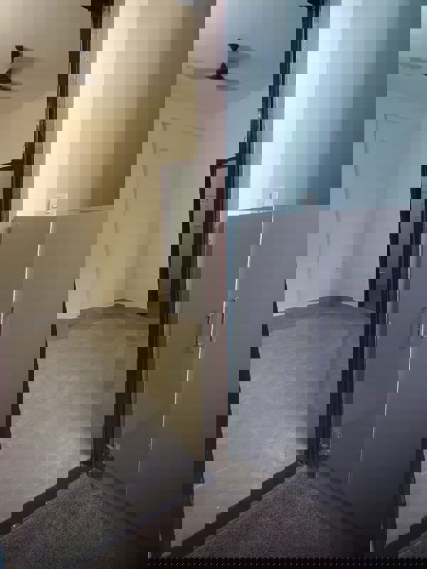 3 BHK + Pooja Room Apartment For Rent in Sector 12 Dwarka