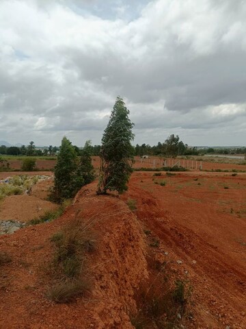 Plot Area in  Land at Kolar Road – for Sale