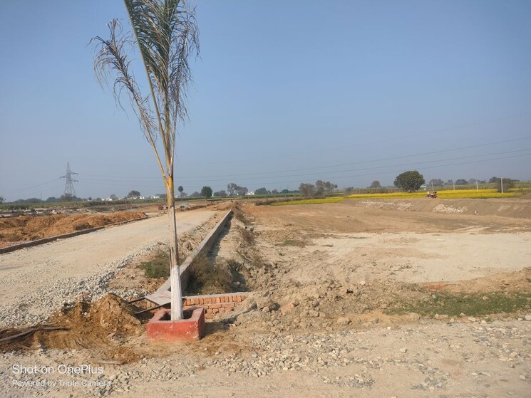 undefined, modipuram  125 Sq.Yd. Plot In Modipuram Meerut 9840105
