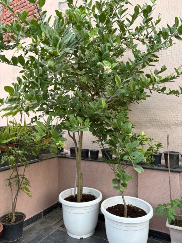 Balcony, greater kailash i 4 Bedroom 2700 Sq.Ft. Apartment In Greater Kailash I Delhi 9840130