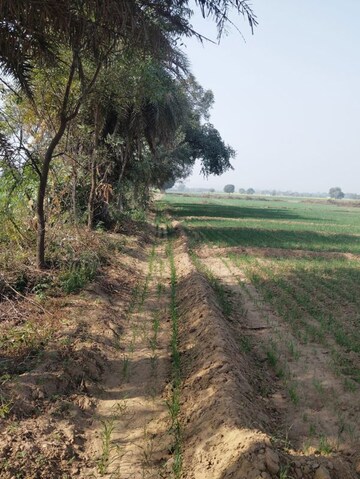 Plot Area in  Land at Pataudi – for Sale