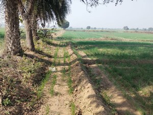 Plot Area in  Land at Pataudi – for Sale