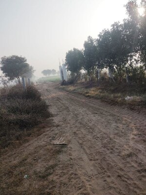 Plot Area in  Land at Pataudi – for Sale