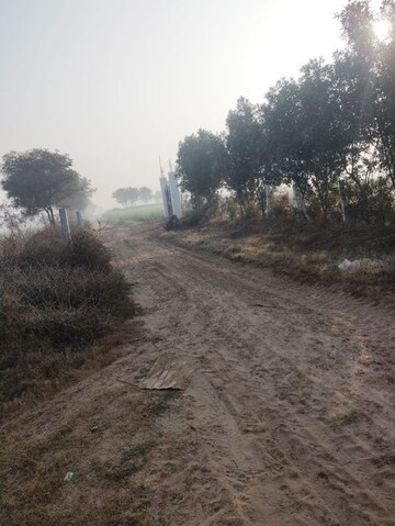 Plot Area in  Land at Pataudi – for Sale