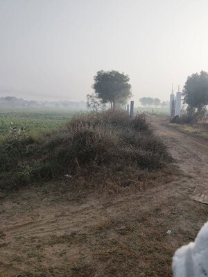 Plot Area in  Land at Pataudi – for Sale