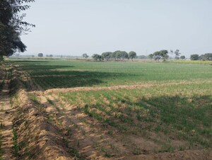 Plot Area in  Land at Pataudi – for Sale