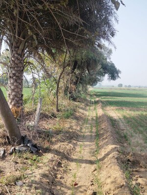 Plot Area in  Land at Pataudi – for Sale