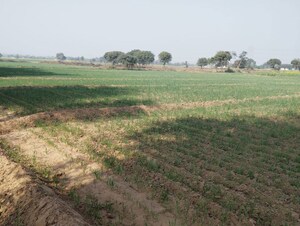 Plot Area in  Land at Pataudi – for Sale