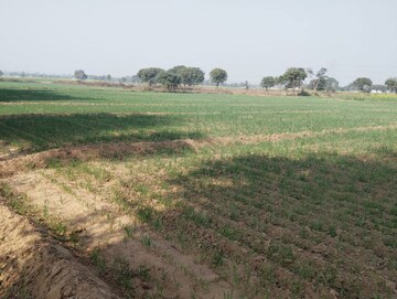 Plot Area in  Land at Pataudi – for Sale