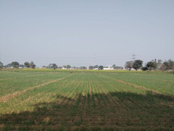 Plot Area in  Land at Pataudi – for Sale