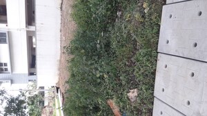  Plot For Sale in Nagashetty Halli