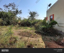 Plot For Sale in Lottegollahalli