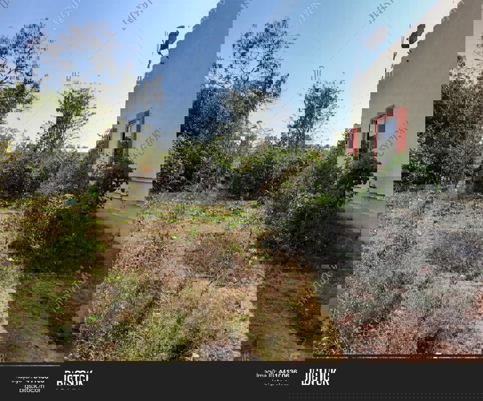 Plot For Sale in Lottegollahalli