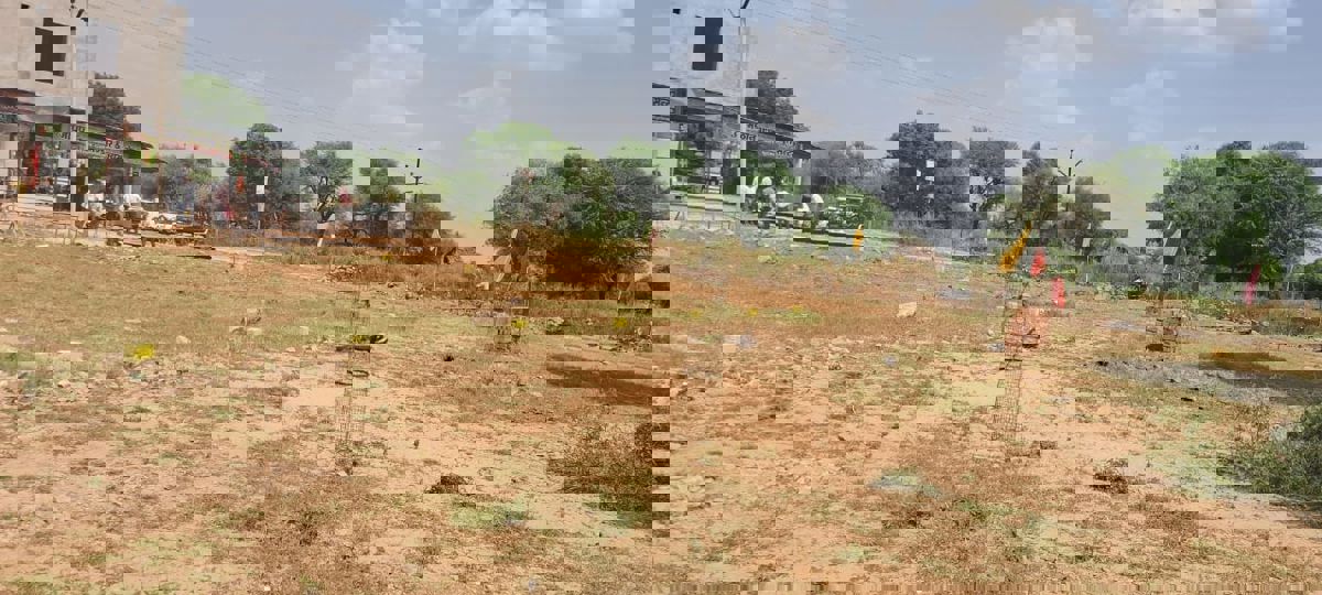 Plot For Sale in Renwal Manji