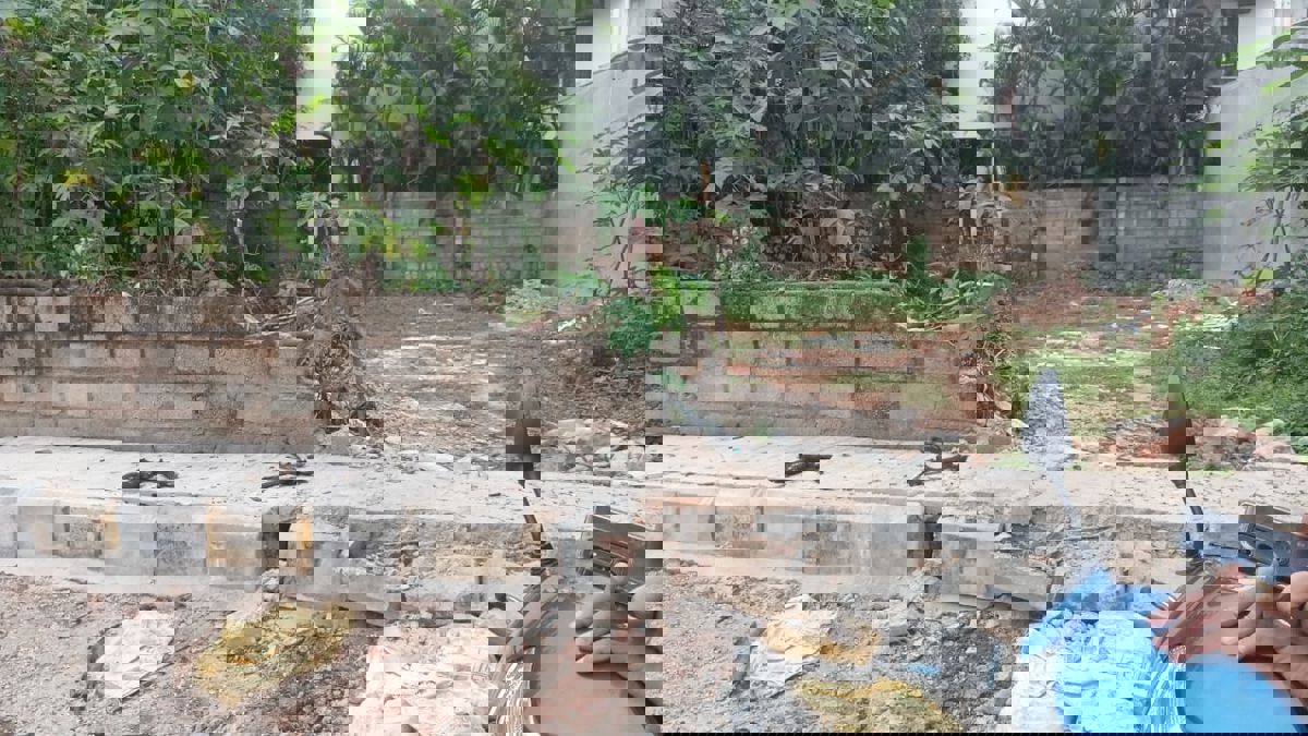 Plot For Sale in Bhoopasandra