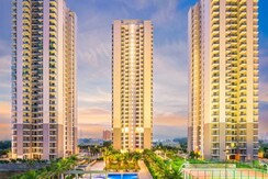 4 BHK + Servant Room Apartment For Rent in DLF The Ultima