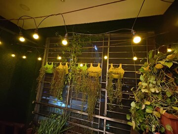 Balcony in 3 BHK Apartment at Shankar Nagar – for Rent