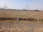1006 Sq.Yd. Plot in Kokapet