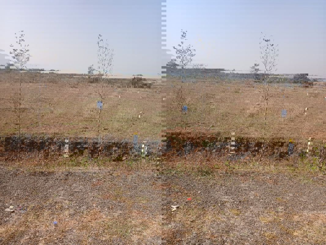 Plot For Sale in Kokapet