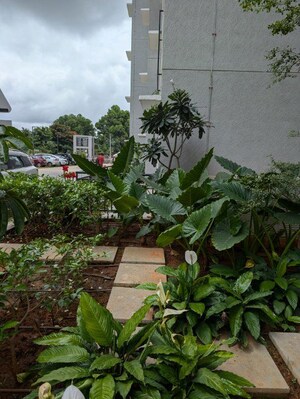 3 BHK Apartment – Exterior View View at Puravankara Purva Zenium, Hosahalli - for Sale