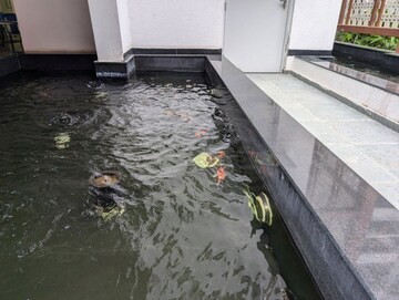 3 BHK Apartment – Exterior View View at Puravankara Purva Zenium, Hosahalli - for Sale