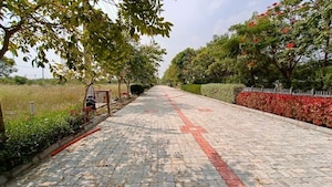  Plot For Sale in Doddaballapura