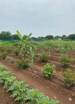 201 Sq.Yd. Plot in Shankarpalli