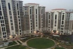 4 BHK + Servant Room Apartment For Sale in DLF New Town Heights I