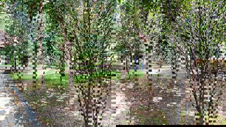 Plot For Sale in Gauribidanur