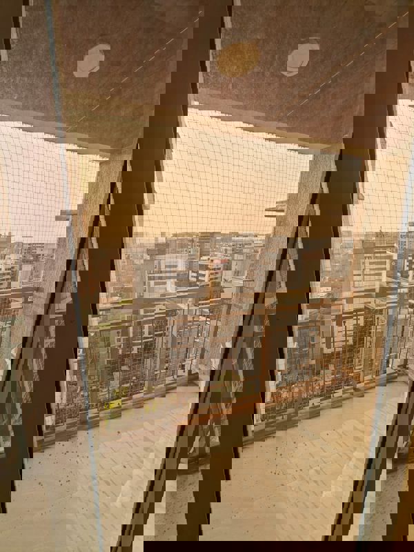 3 BHK Apartment For Rent in Dheeraj Insignia