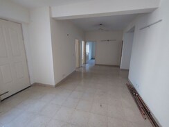3 BHK Apartment For Rent in Tulip Orange