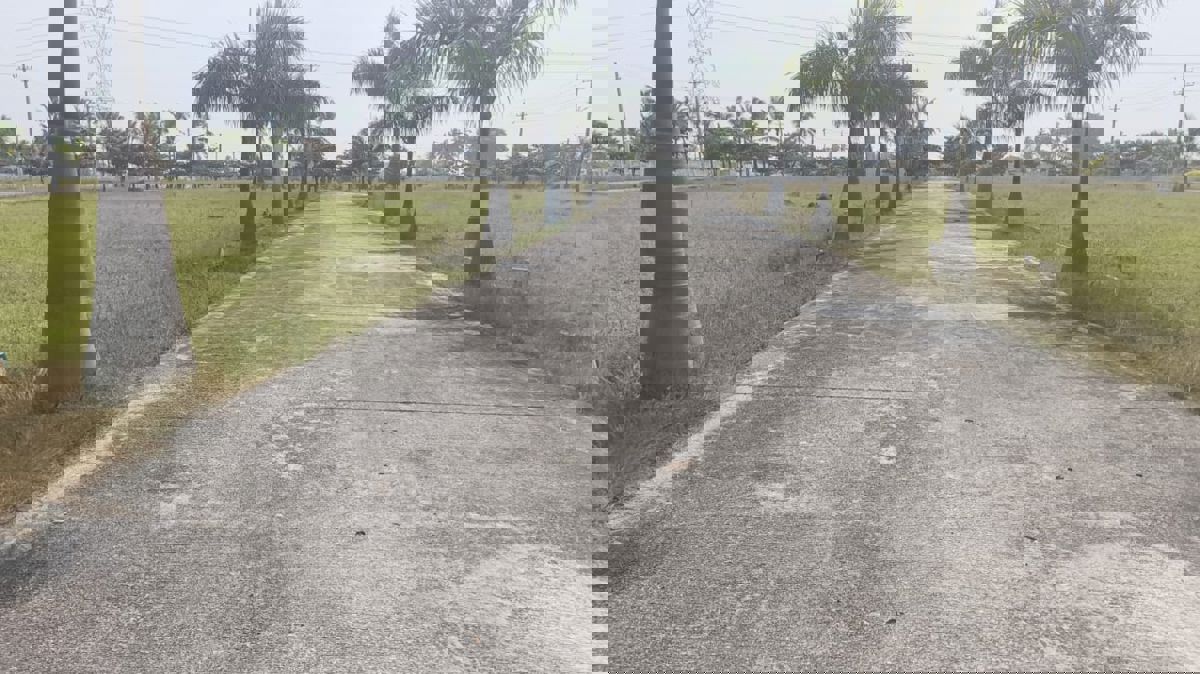 Plot For Sale in Hoskote