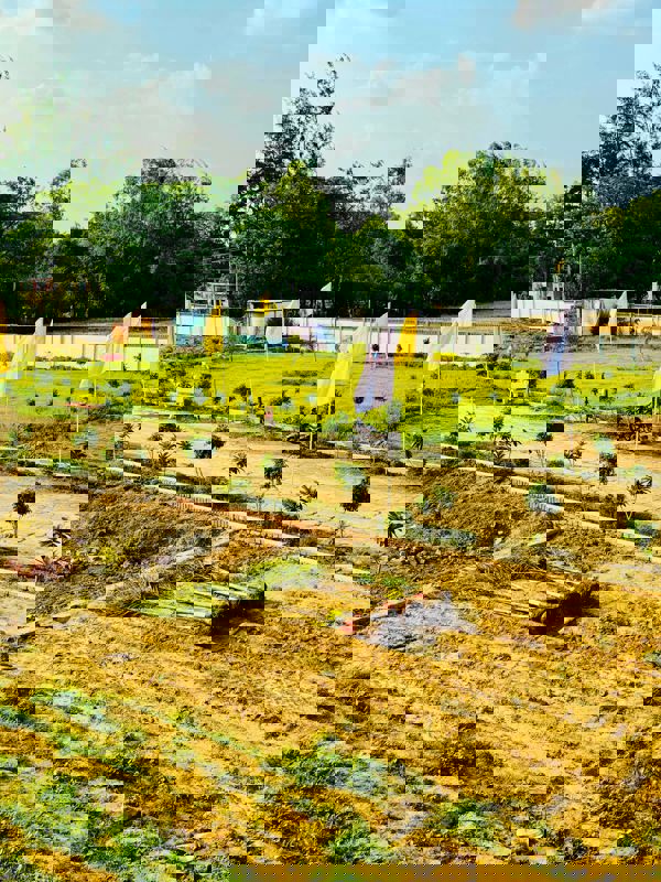 Plot For Sale in Mohanlalganj