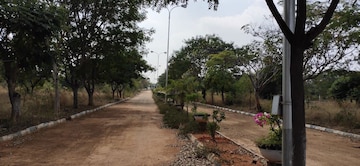  Plot For Sale in Kandukur