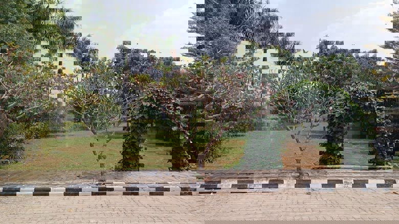  Plot – Garden View at Doddaballapur Road - for Sale